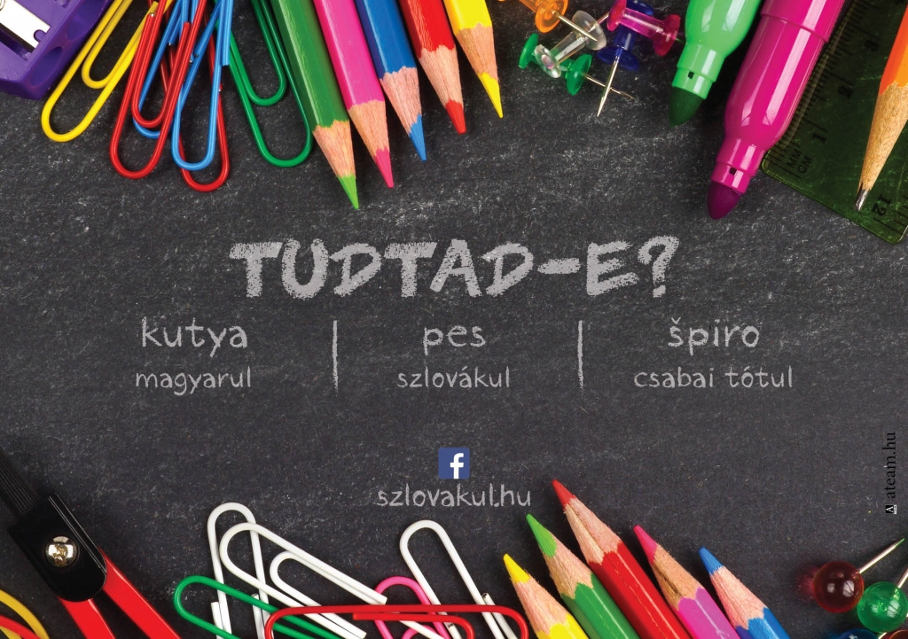 Tudtad-e?